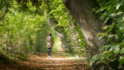 Frau macht einen sonnigen Herbstspaziergang im Wald