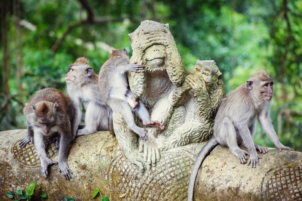 Affen und Affenstatuen im Monkey Forest in Ubud.